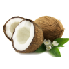 Coconut 2